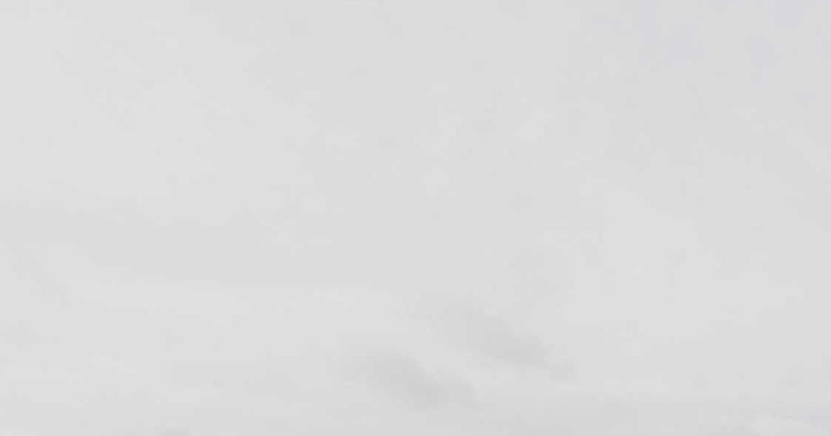 What is symple? - Company Overview & Insights