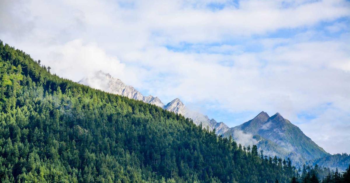 What is Synaptiq? - Company Overview & Details