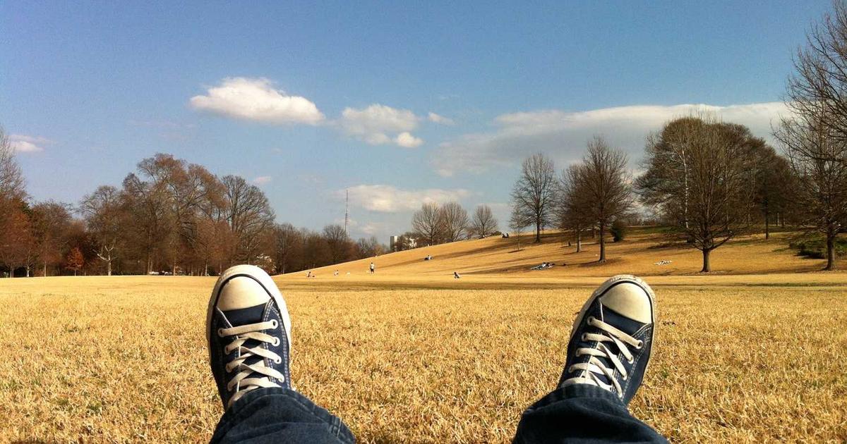 What is Terra? - Company Overview & Details