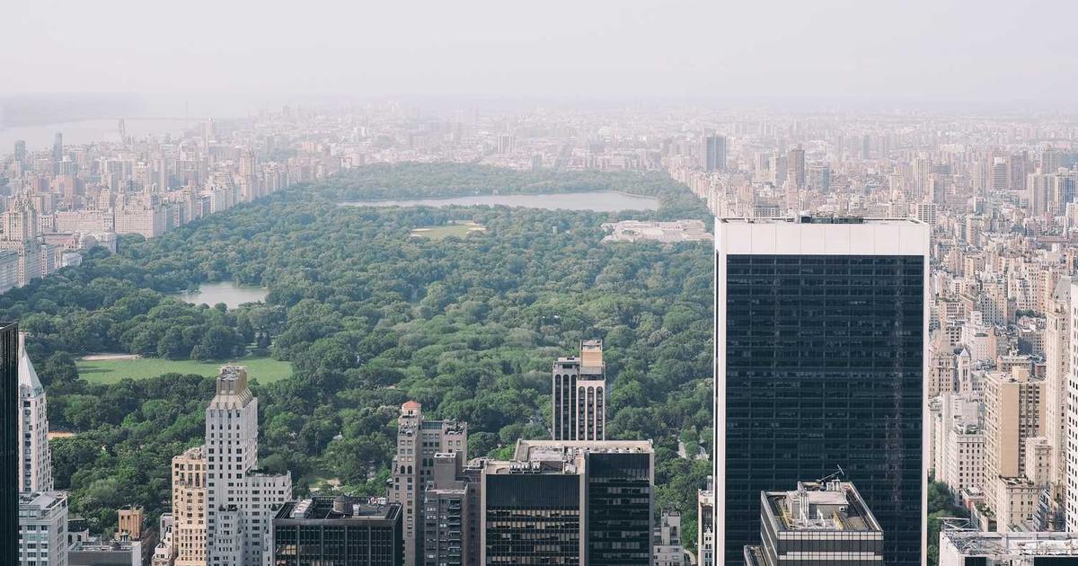 What is Texas RioGrande Legal Aid? - Company Overview & Details