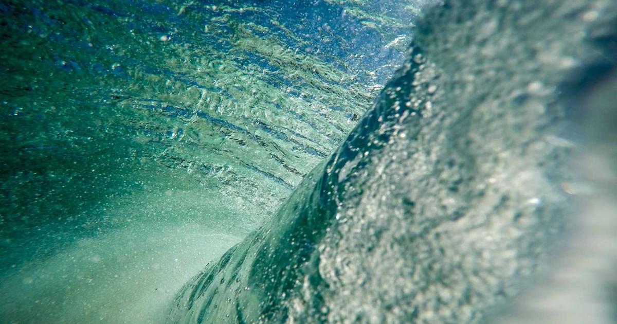 What is The Capture App? - Company Overview & Details