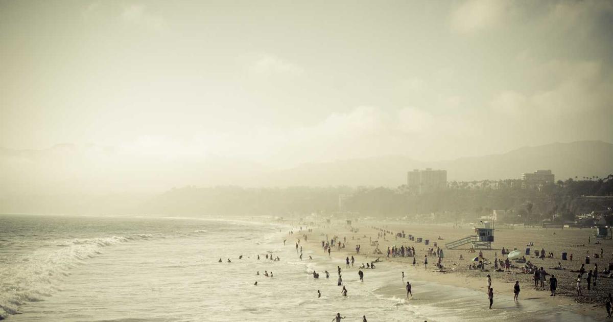 What is The Flex Co.? - Company Overview & Details