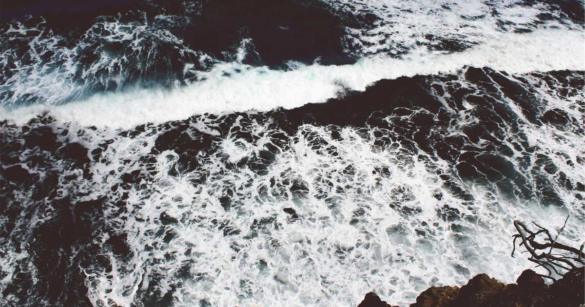 What is Thndr? - Company Overview & Details