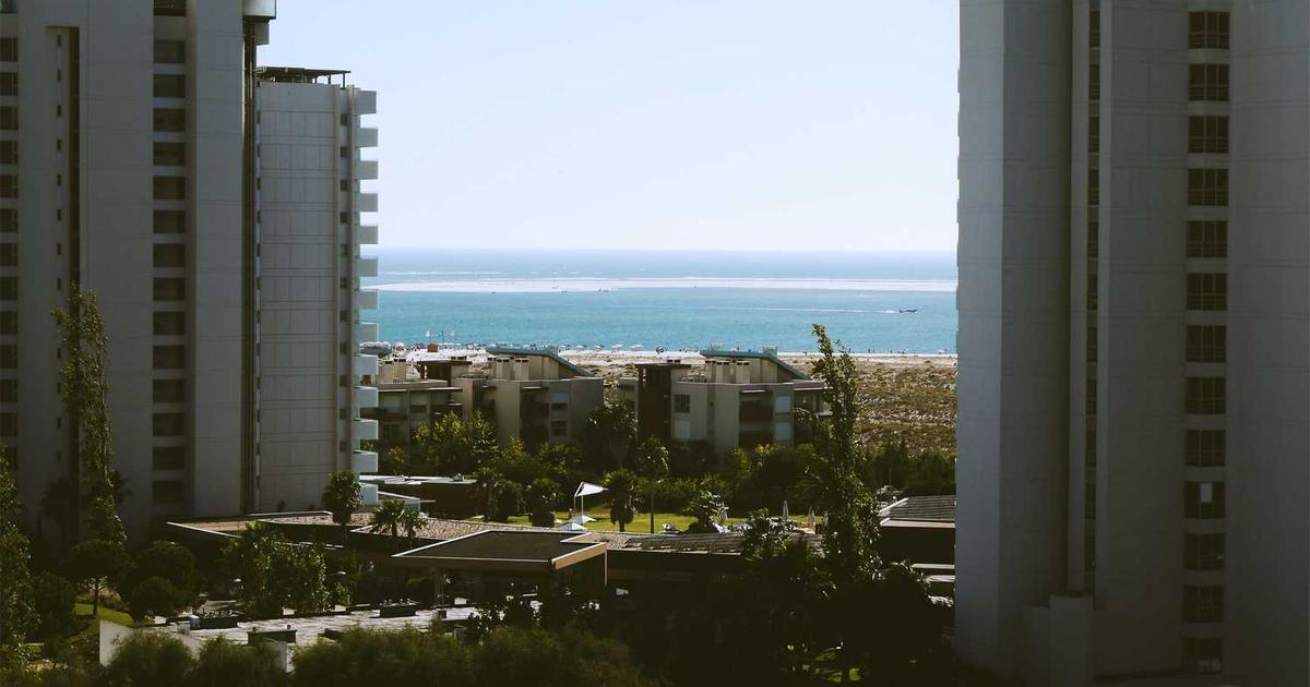 What is True3D? - Company Overview & Details