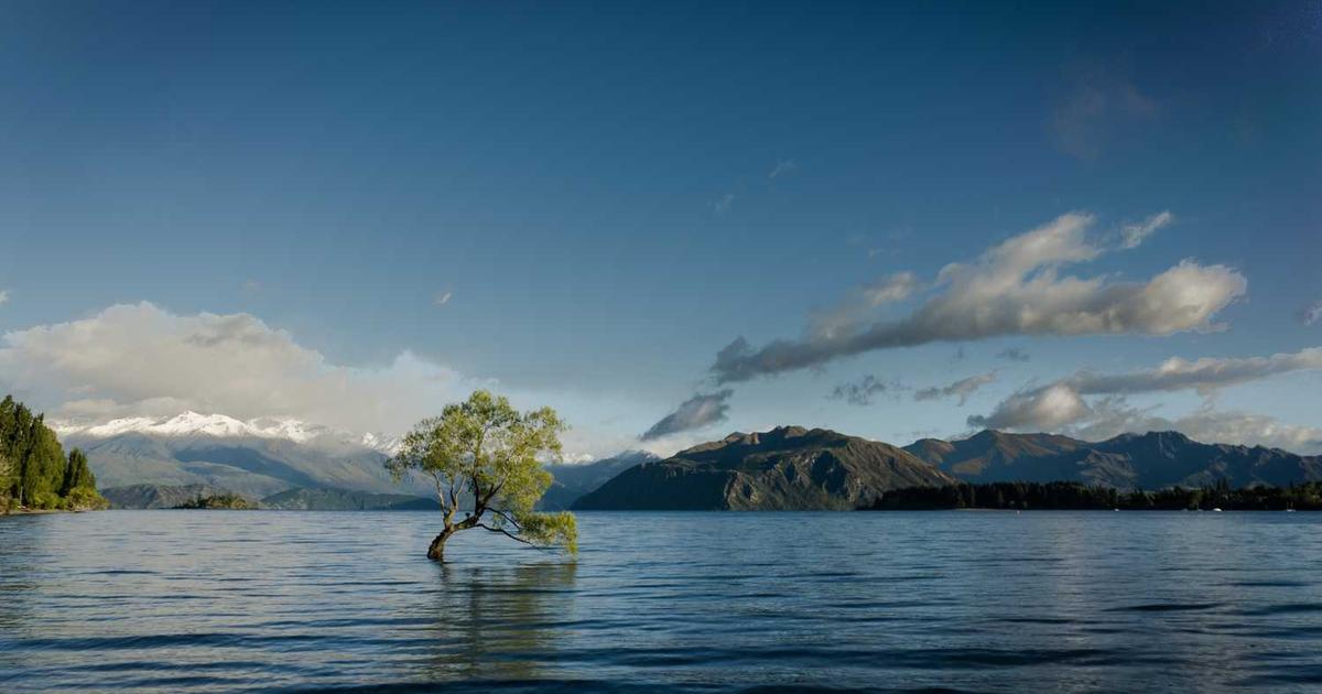 What is Tyltgo (YC S20)? - Company Overview & Details