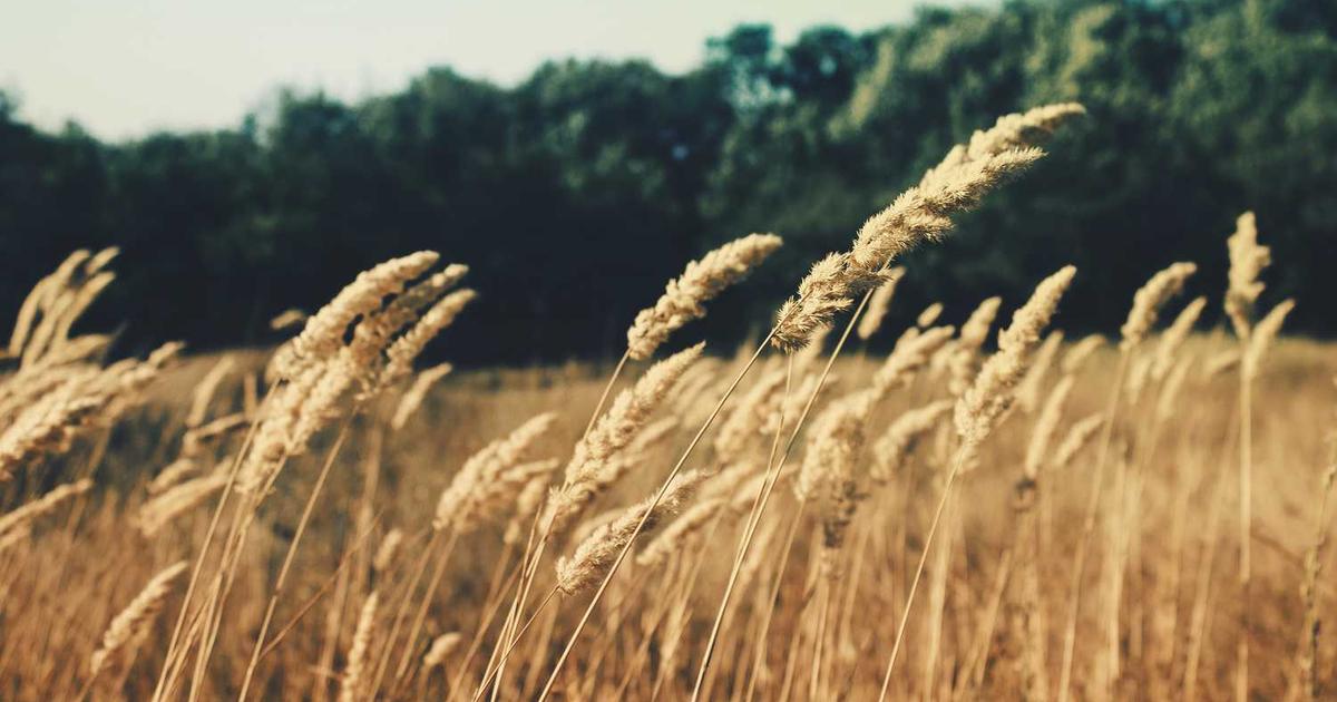 What is Unflow? - Company Overview & Details