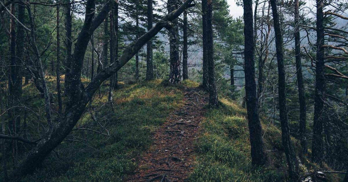 What is Unravel Carbon? - Company Overview & Details