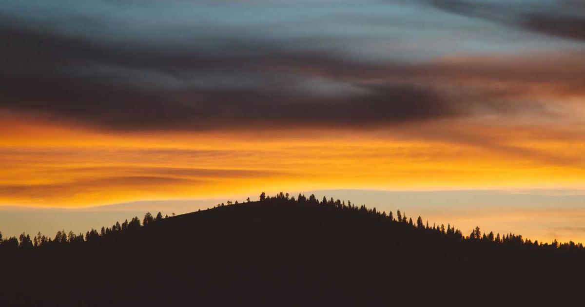 What is UrbanKisaan? - Company Overview & Details