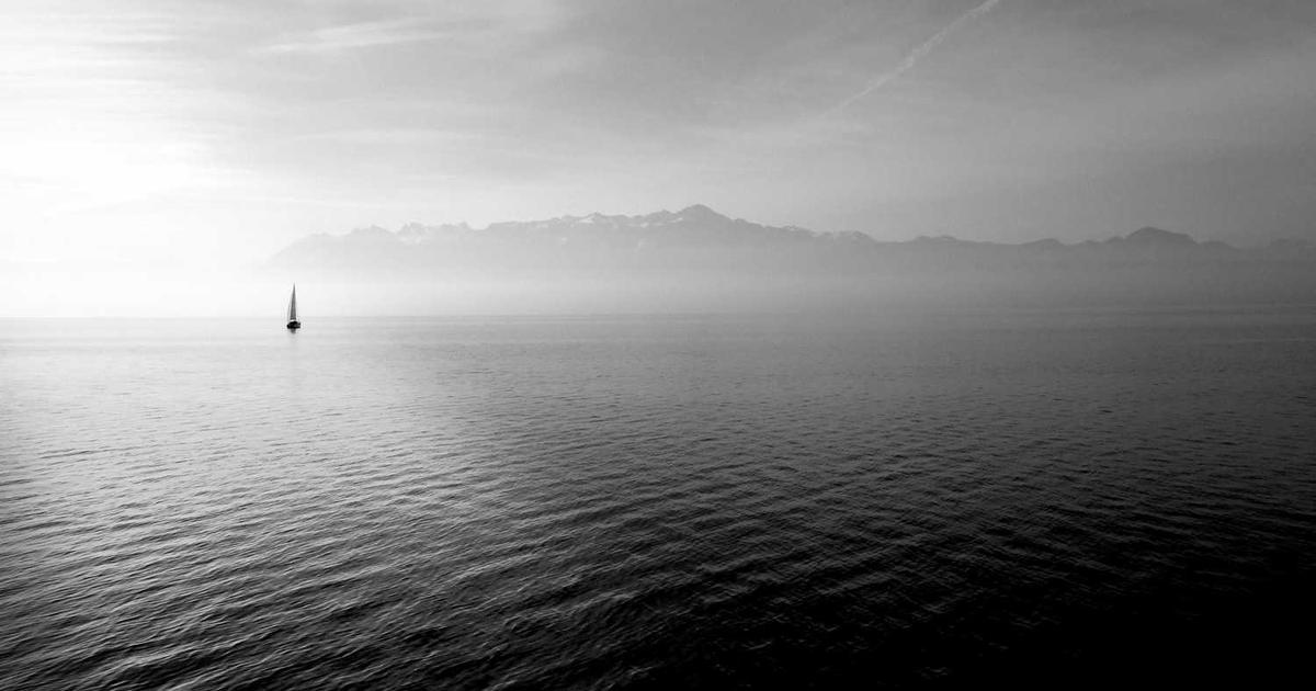 What is Vendease Africa? - Company Overview & Details