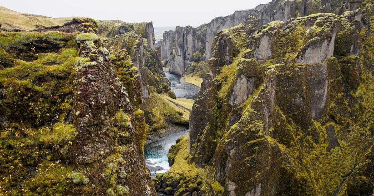 What is Venu AI? - Company Overview & Details