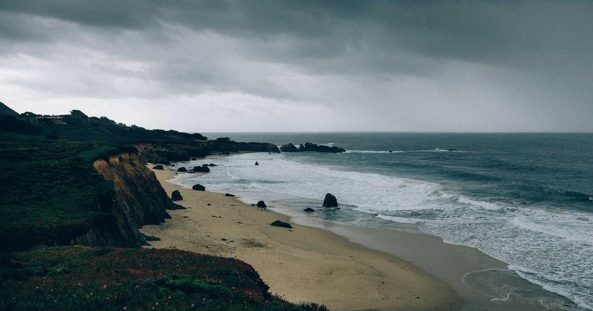 What is Virtually Live? - Company Overview & Details