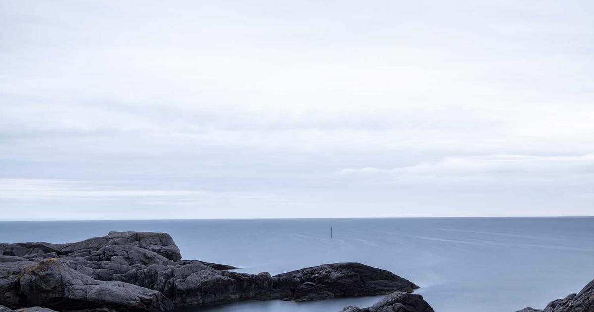 What is Vitable Health? - Company Overview & Details