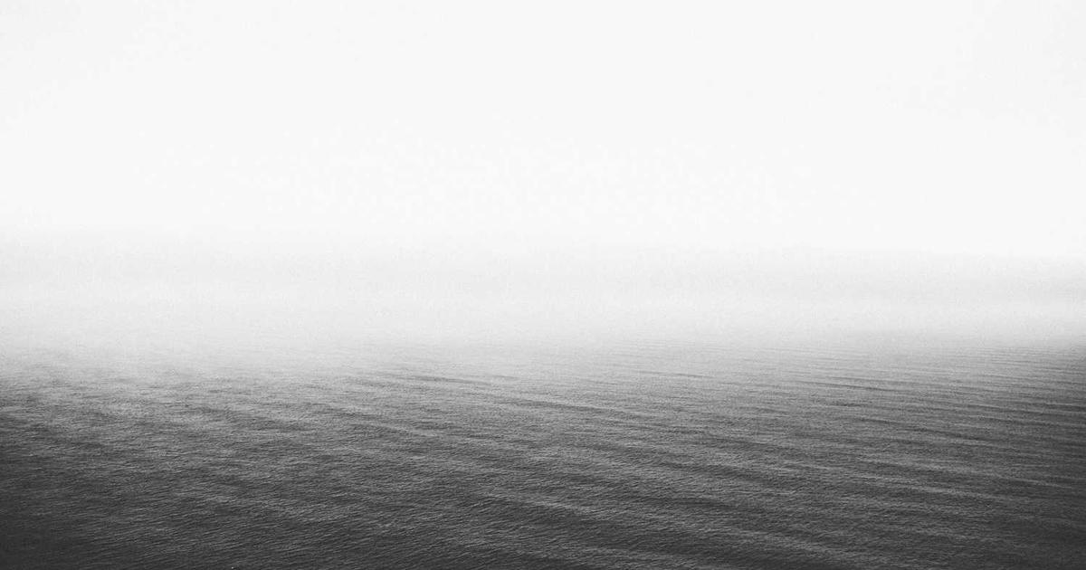 What is Vizy? - Company Overview & Details