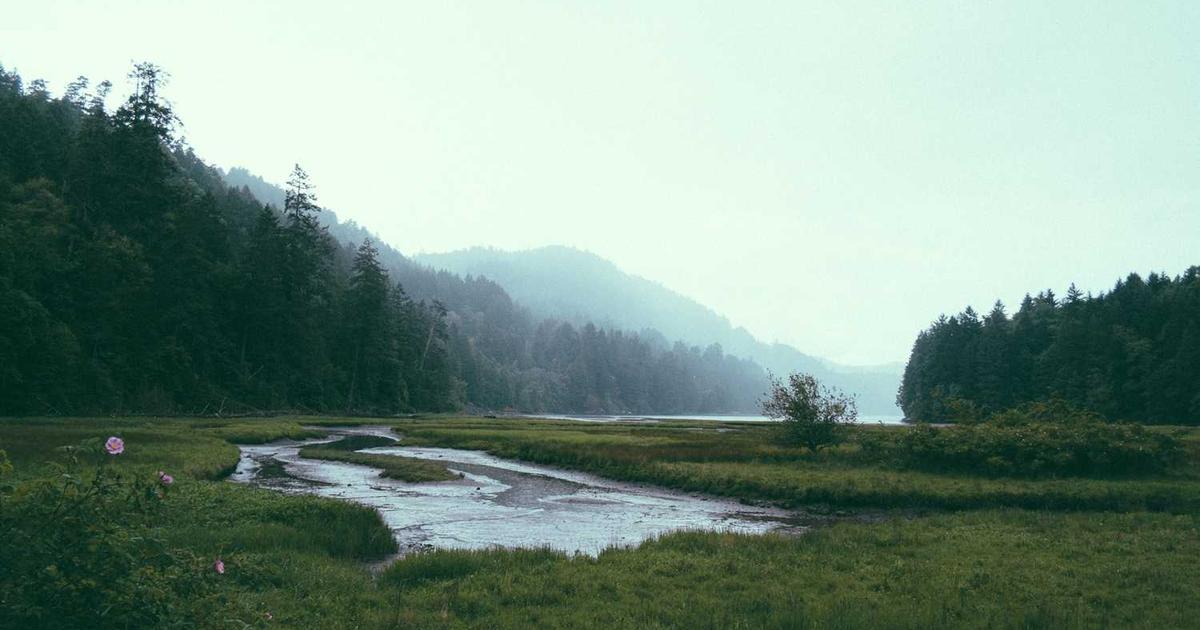 What is Voyage Biomedical? - Company Overview & Details