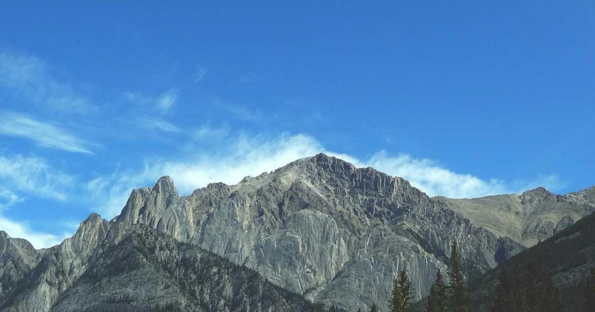 What is Wit.ai? - Company Overview & Details