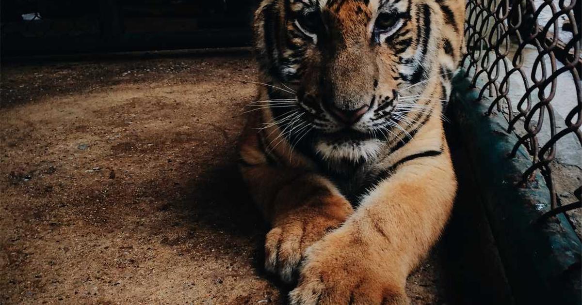 What is Workbase? Company Overview & Key Details