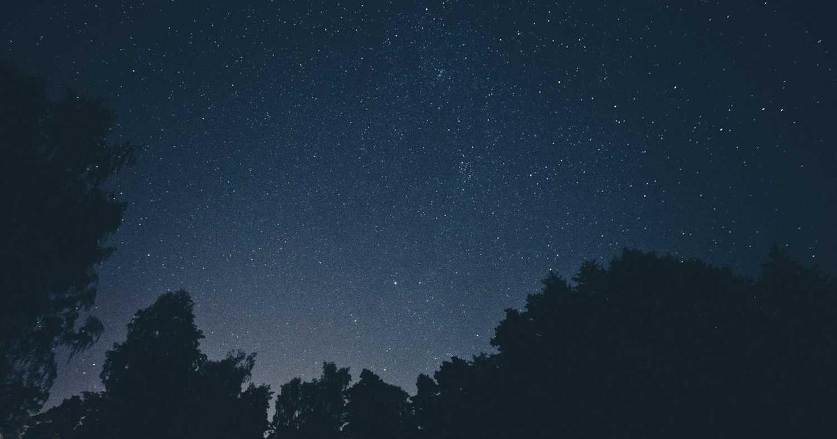 What is Workflow86? - Company Overview & Details