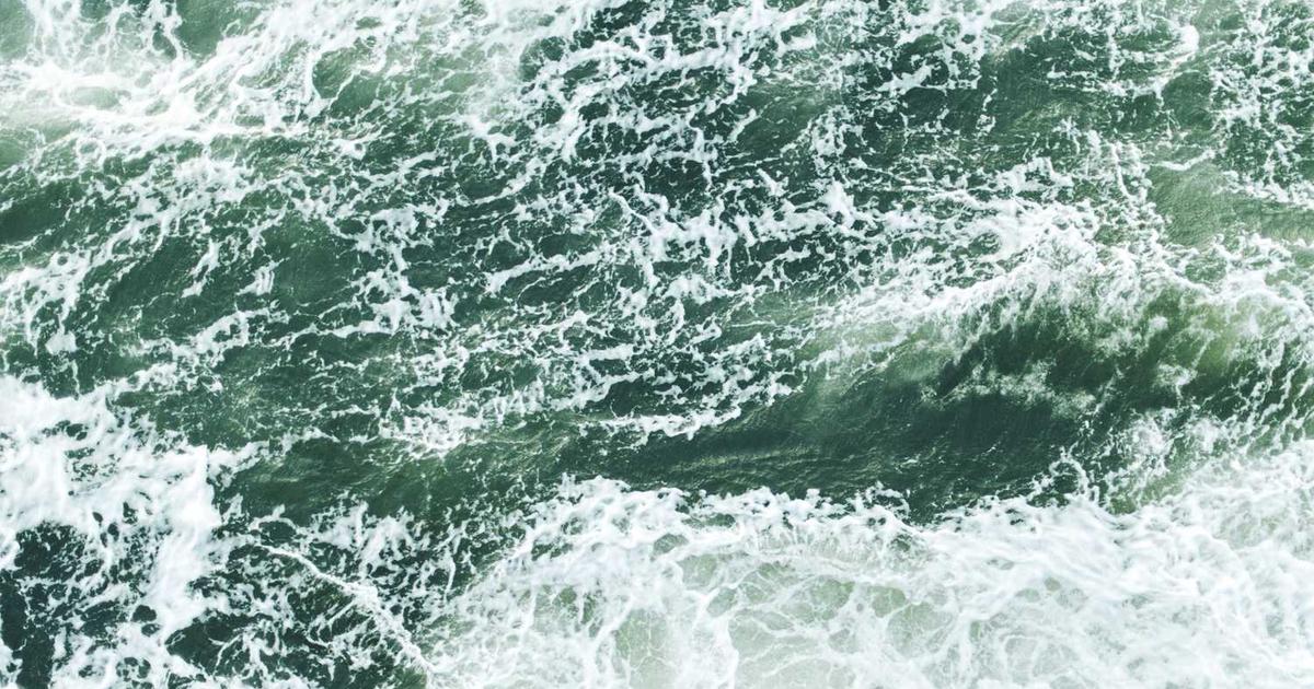 What is Xberts? - Company Overview & Details