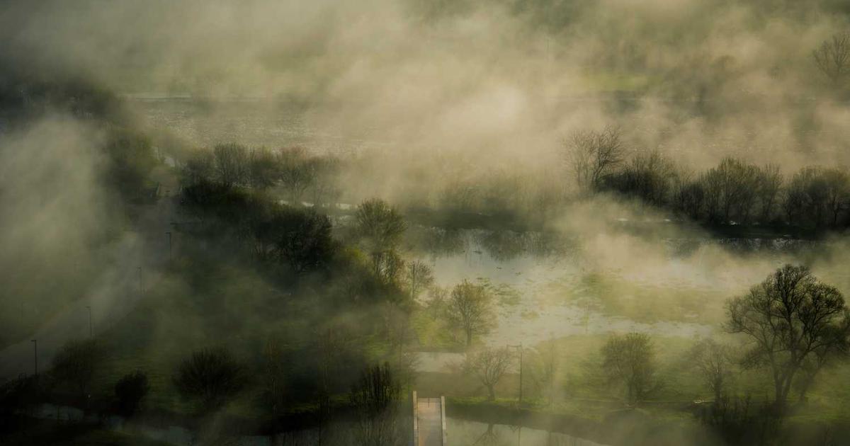 What is Z1? - Company Overview & Details