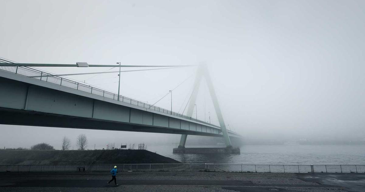 What is Zealth? - Company Overview & Details