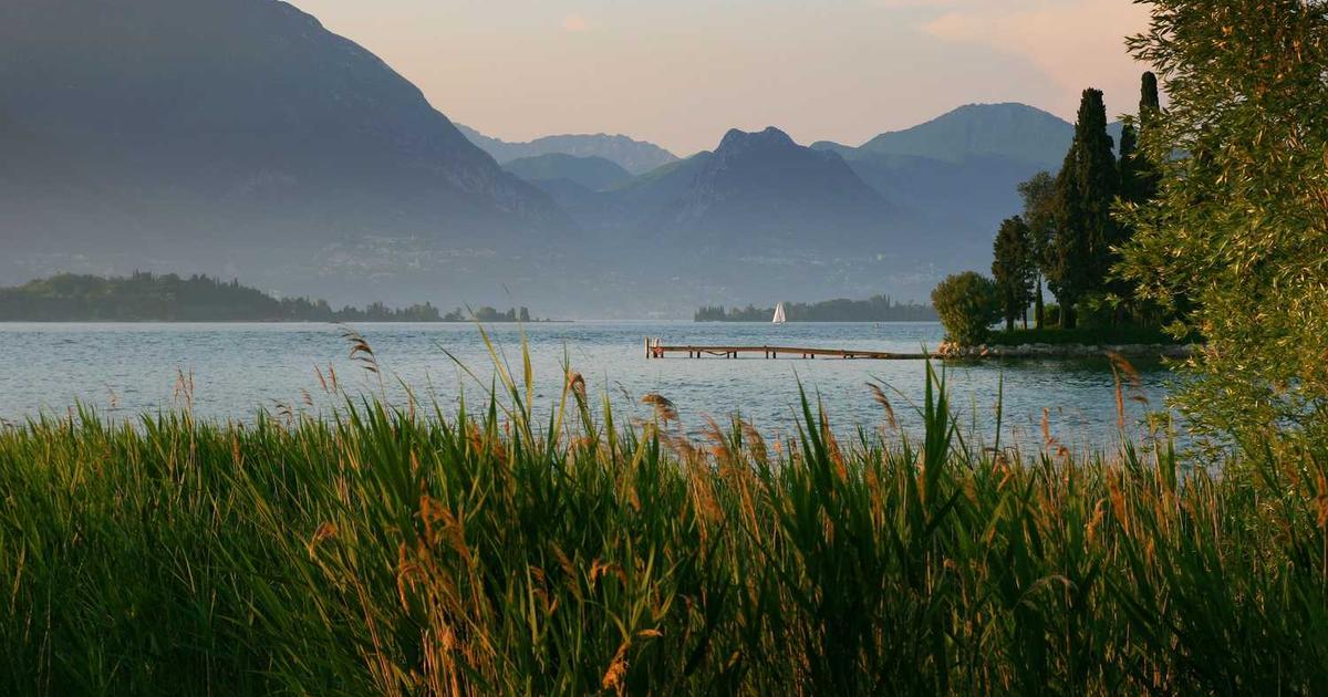 What is Zergo - Thailand Certification Services? - Company Overview & Details