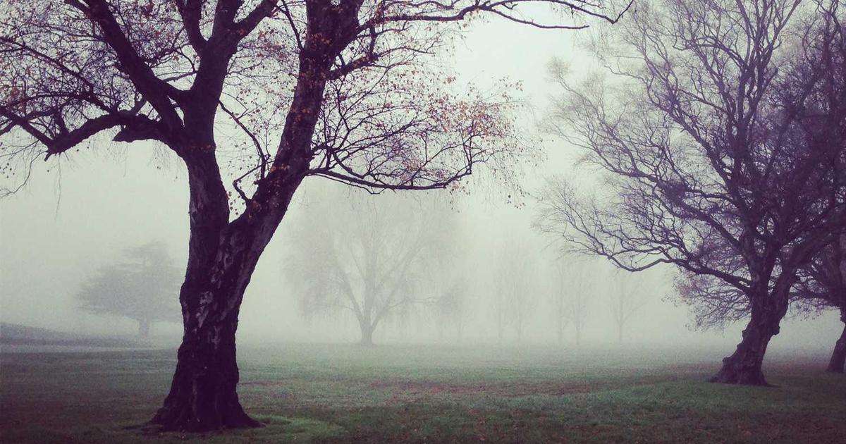 What is ZeroDown? - Company Overview & Details